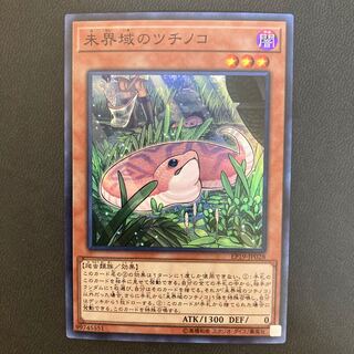 未界域のツチノコ スーパーレア