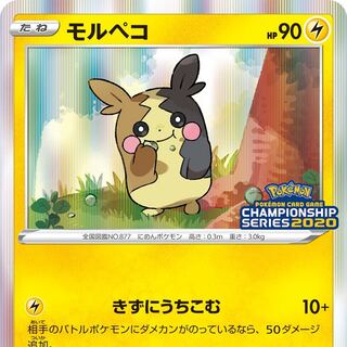 募集！チャンピオンシップ モルペコプロモ