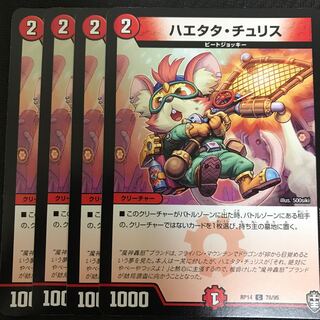 翌日発送　ハエタタチュリス　４枚