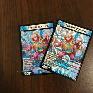 万年の甲ガメッシュ