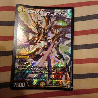 闘門の精霊ウェルキウス