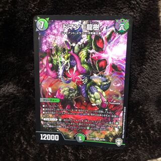 ドマンモ龍樹 SR