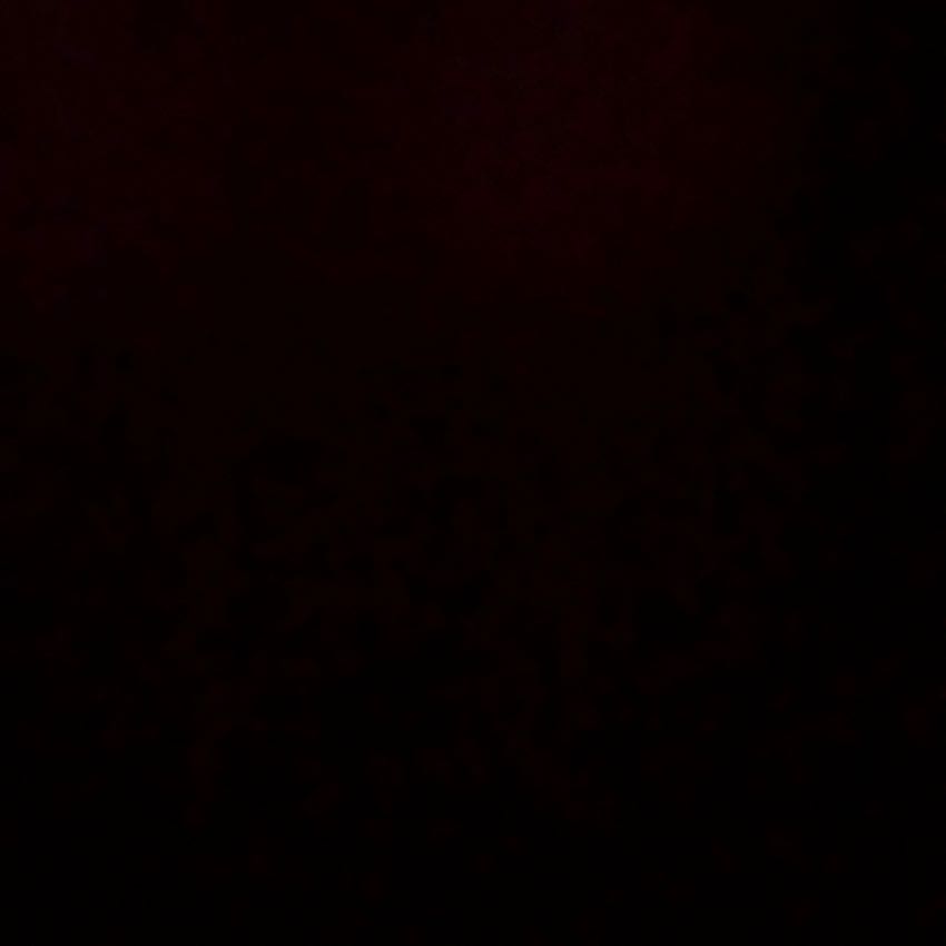 有木さま専用 1枚