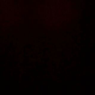 有木さま専用 1枚