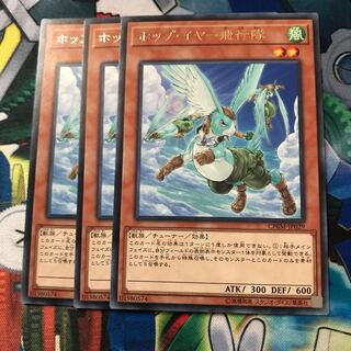 マドレース ホップ・イヤー飛行隊 レア