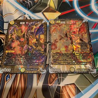 煌龍 サッヴァーク 2枚