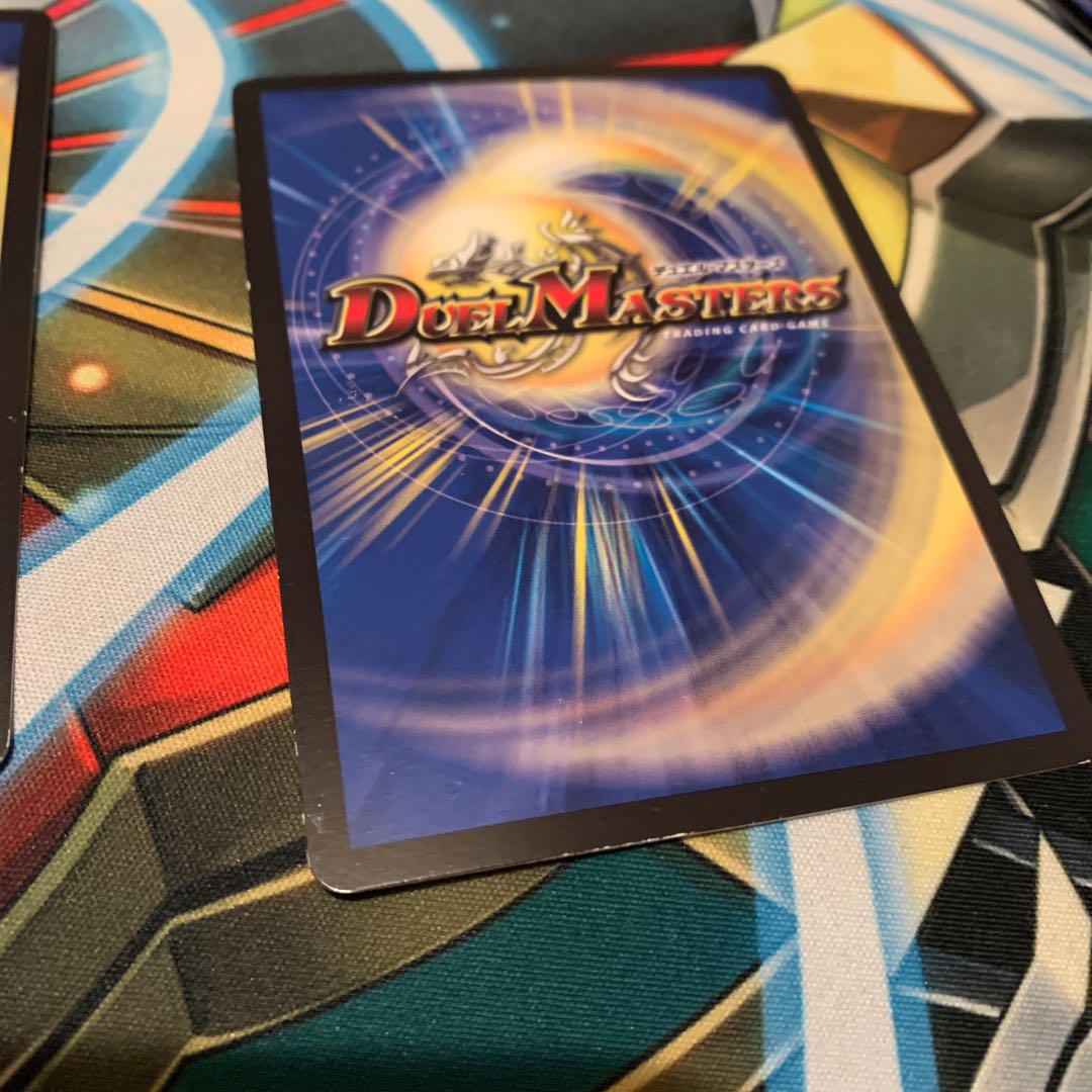 煌龍 サッヴァーク 2枚