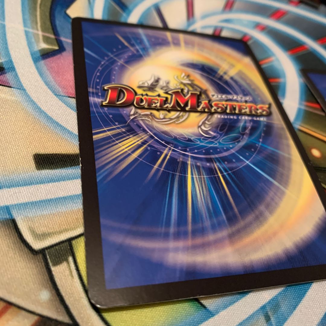 煌龍 サッヴァーク 2枚