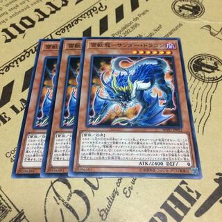 雷獣龍ーサンダー・ドラゴン【N】