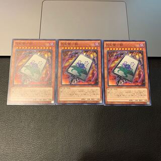 花札衛-桐- ノーマル