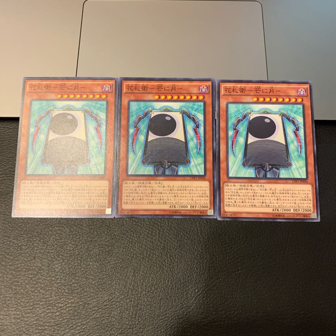 花札衛-芒に月- ノーマル