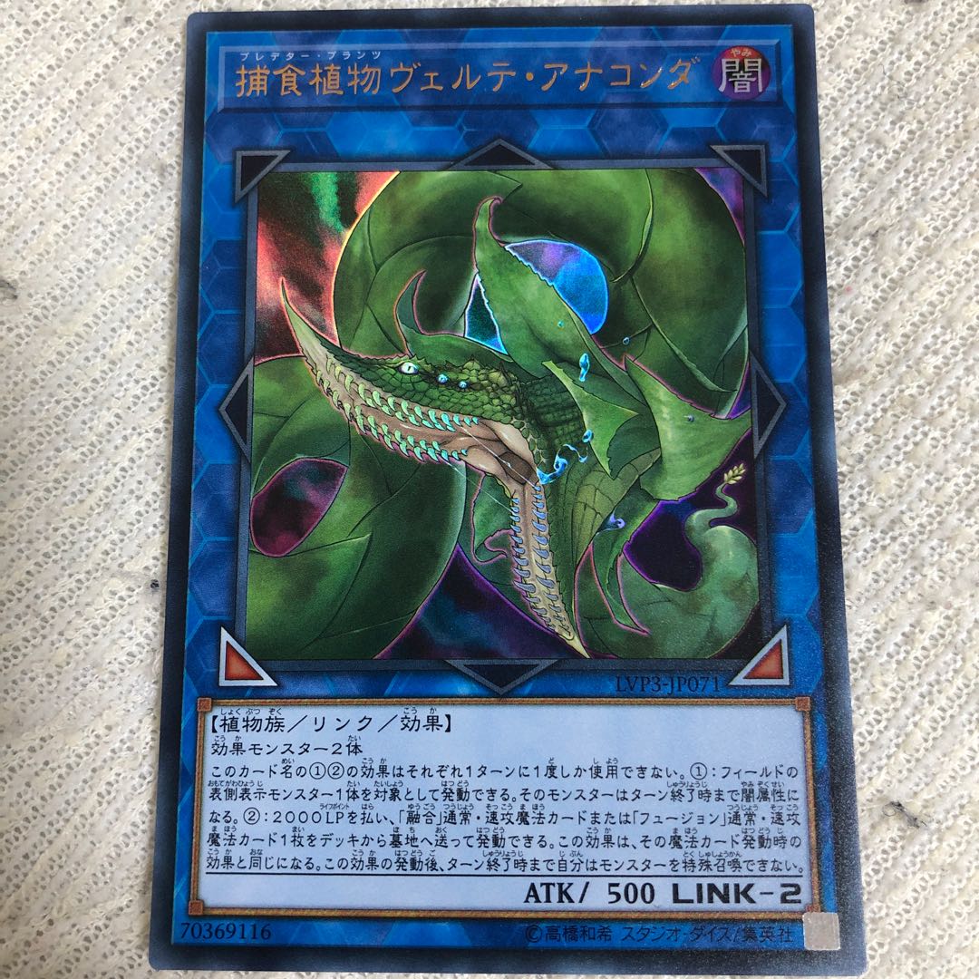 捕食植物ヴェルテ・アナコンダ