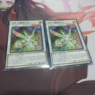 韓国　虹光の宣告者　ノーマル　LVP3