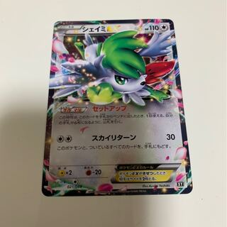 紅葉丸様専用シェイミEX回収ネット2枚