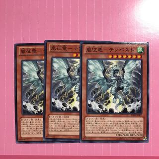 嵐征竜-テンペスト