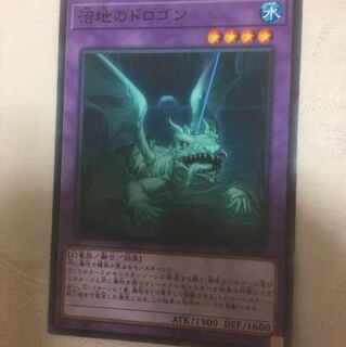 沼地のドロゴン