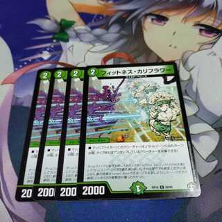 【未使用】フィットネス・カリフラワー