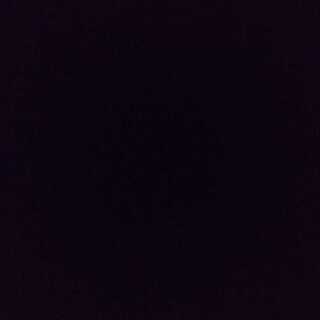 トロピコ様 専用