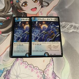 デュエルマスターズ ブラッディタイフーン 2枚