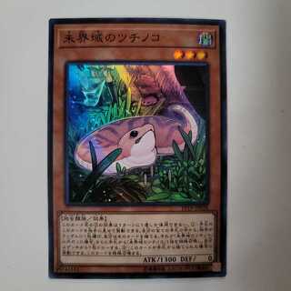 未界域のツチノコ SR