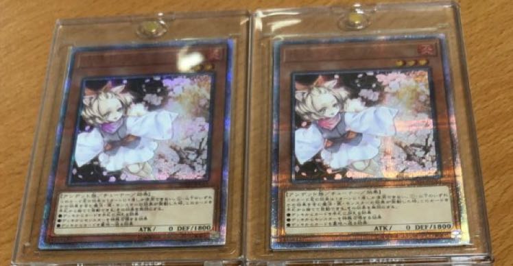 たつのこ様専用 20thセット 1枚