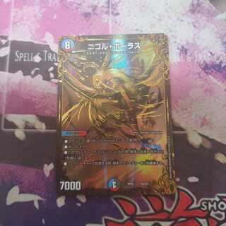 ニコル・ボーラス