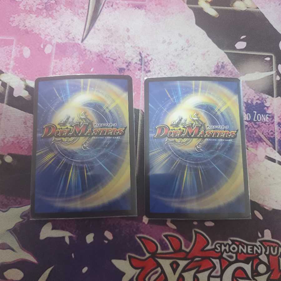 龍装鬼 オブザ08号｜終焉の開闢　2枚