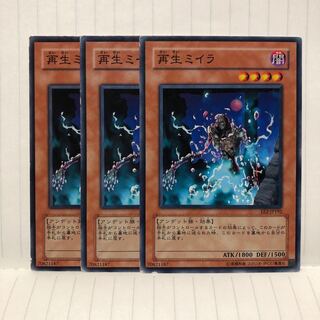 再生ミイラ ノーマル　3枚　マホ子