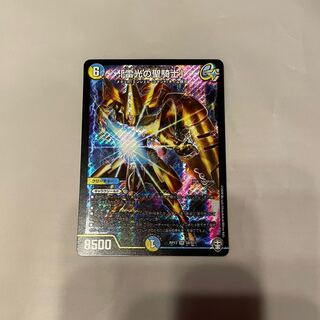 「雷光の聖騎士」