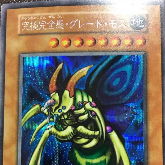 売り切り企画！究極完全態・グレート・モス　完美品