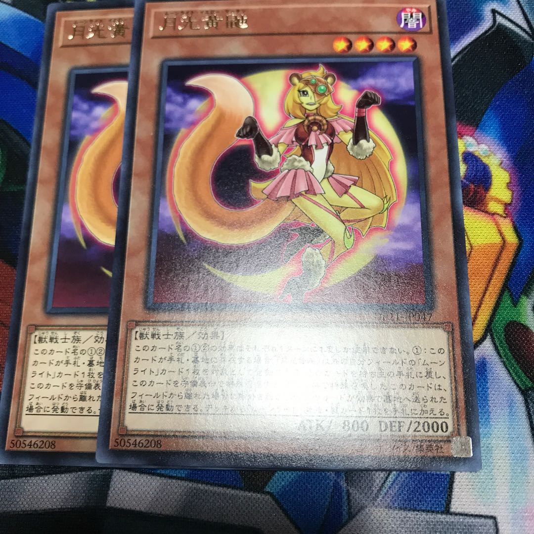 マドレース 月光黄鼬 レア