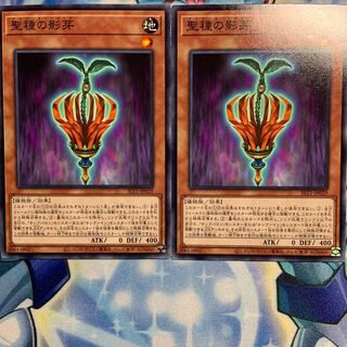 【N】聖種の影芽 2枚 SLT1-JP029