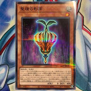 【P】聖種の影芽 1枚 SLT1-JP029