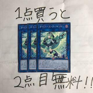 サイバース ウィキッド