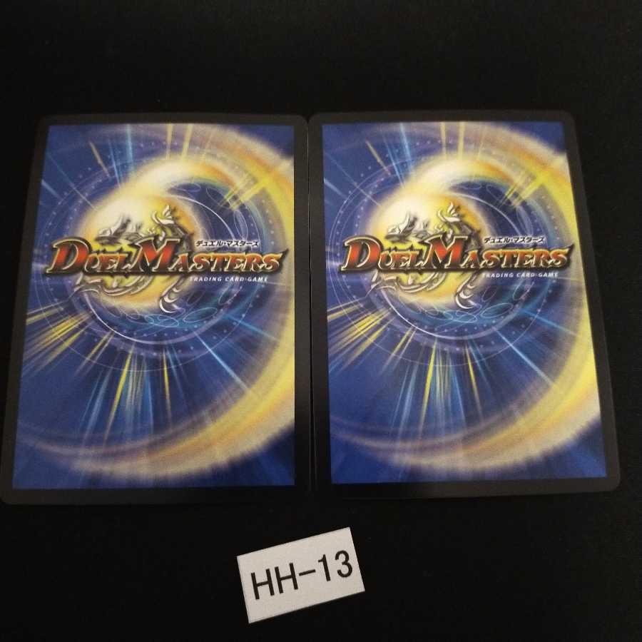 煌龍 サッヴァーク 2枚 HH013