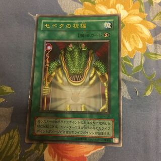 セベクの祝福 ウルトラレア