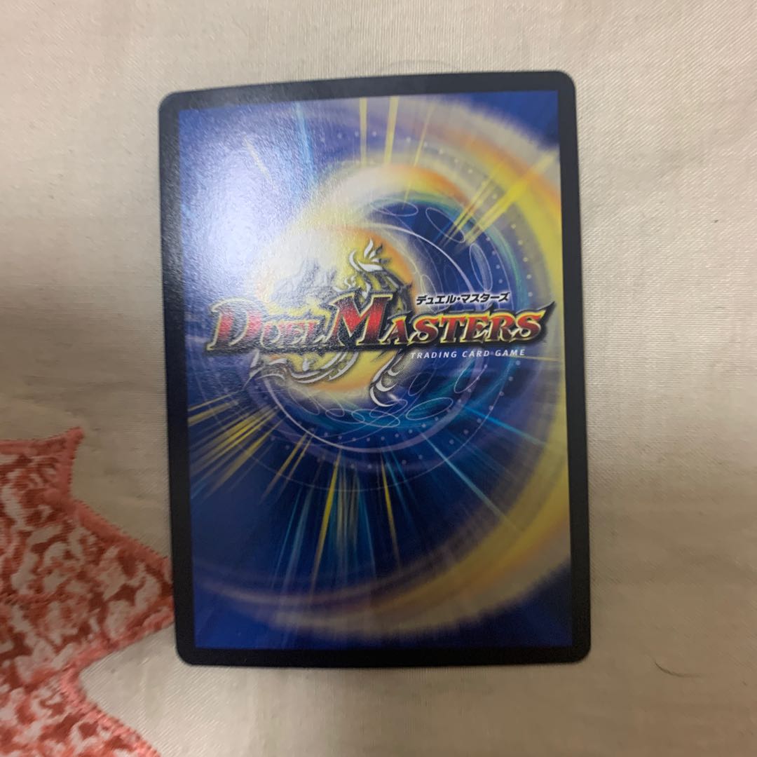 煌龍 サッヴァーク