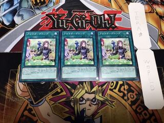 アロマガーデニング ノーマル 3枚セット てら