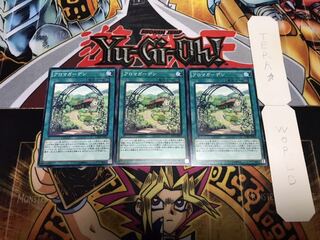 アロマガーデン ノーマル 3枚セット てら