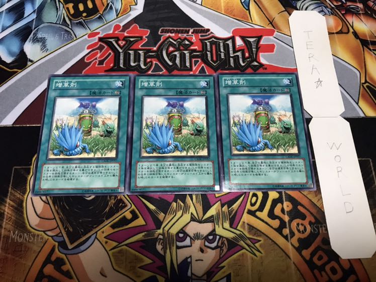 増草剤 ノーマル 3枚セット てら