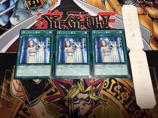 禁じられた聖衣 ノーマル 3枚セット てら