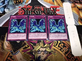 幻影翼 ノーマル 3枚セット てら