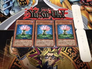 サクリファイス・ロータス ノーマル 3枚セット てら