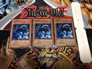 金華猫 ノーマル 3枚セット てら