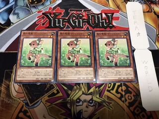 森の聖獣 ヴァレリフォーン ノーマル 3枚セット てら