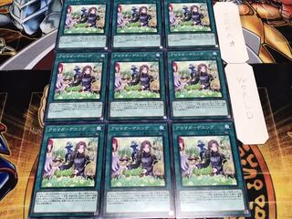 アロマガーデニング ノーマル 9枚セット てら