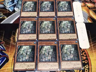 神樹のパラディオン ノーマル 9枚セット てら