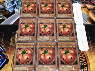 キラー・トマト 2期ver ノーマル 9枚セット てら