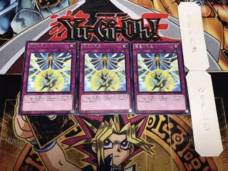 竜星の九支 レア 3枚セット てら