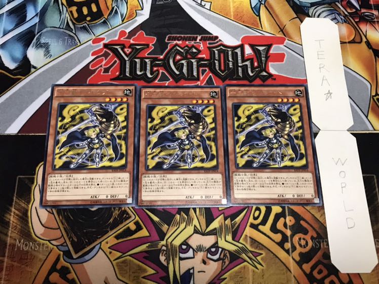 十二獣モルモラット レア 3枚セット てら